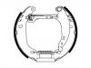 Brake Shoe Set:4241.8J